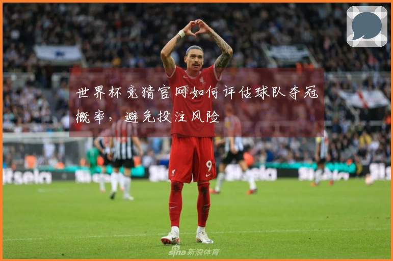 世界杯竞猜官网如何评估球队夺冠概率，避免投注风险