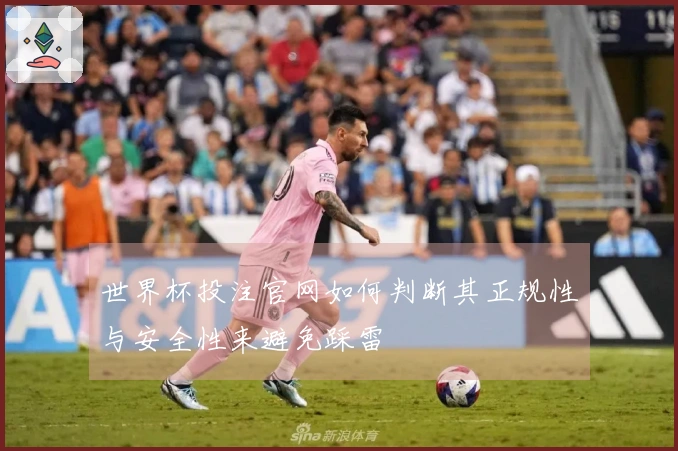 世界杯投注官网如何判断其正规性与安全性来避免踩雷