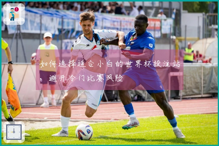 如何选择适合小白的世界杯投注站，避开冷门比赛风险