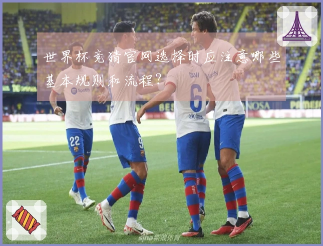 世界杯竞猜官网选择时应注意哪些基本规则和流程？