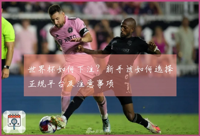 世界杯如何下注？新手该如何选择正规平台及注意事项