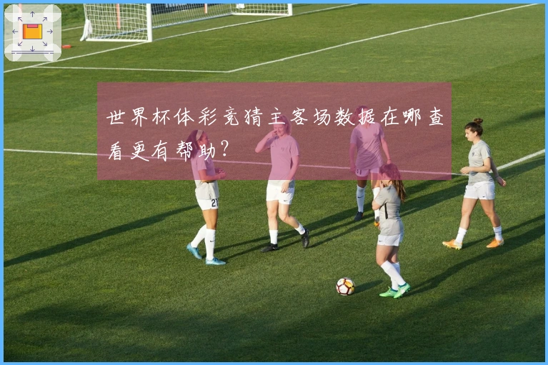 世界杯体彩竞猜主客场数据在哪查看更有帮助？
