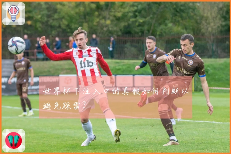 世界杯下注入口的真假如何判断以避免踩雷？