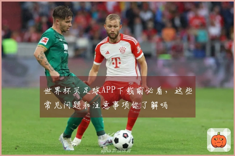 世界杯买足球APP下载前必看，这些常见问题和注意事项你了解吗