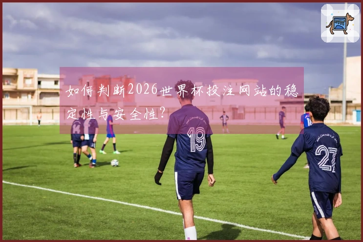如何判断2026世界杯投注网站的稳定性与安全性？