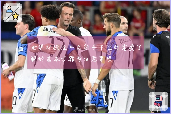 世界杯投注平台新手下注时需要了解的基本步骤与注意事项
