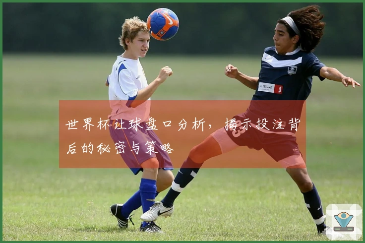 世界杯让球盘口分析，揭示投注背后的秘密与策略