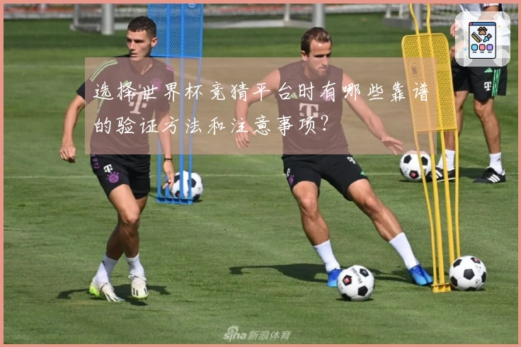 选择世界杯竞猜平台时有哪些靠谱的验证方法和注意事项？