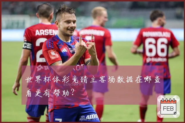 世界杯体彩竞猜主客场数据在哪查看更有帮助？