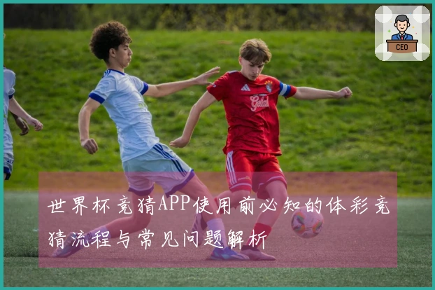 世界杯竞猜APP使用前必知的体彩竞猜流程与常见问题解析