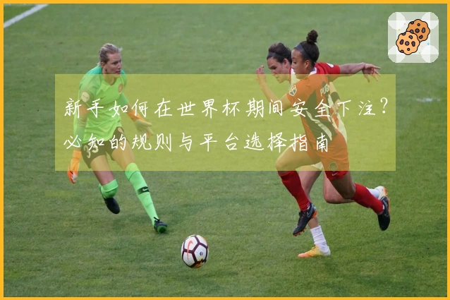 新手如何在世界杯期间安全下注？必知的规则与平台选择指南