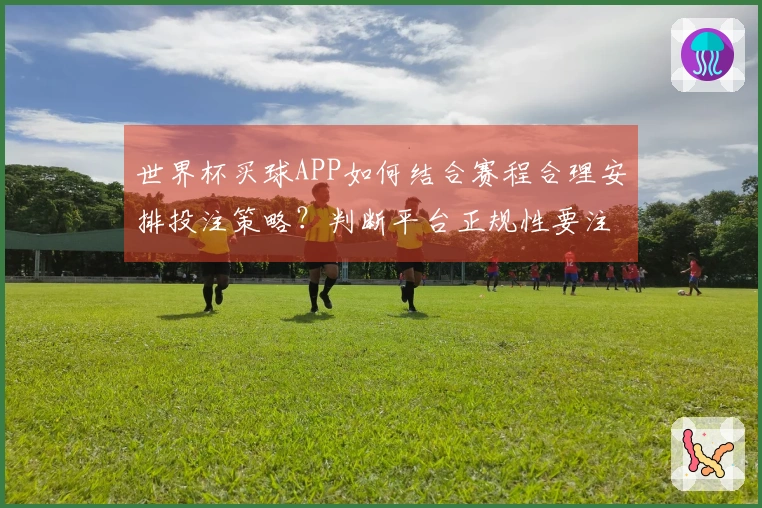 世界杯买球APP如何结合赛程合理安排投注策略？判断平台正规性要注意什么