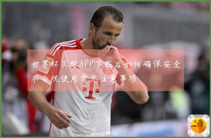 世界杯买球APP下载后如何确保安全和合规使用常见注意事项