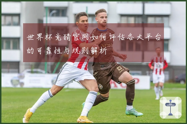 世界杯竞猜官网如何评估各大平台的可靠性与规则解析