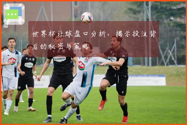 世界杯让球盘口分析，揭示投注背后的秘密与策略
