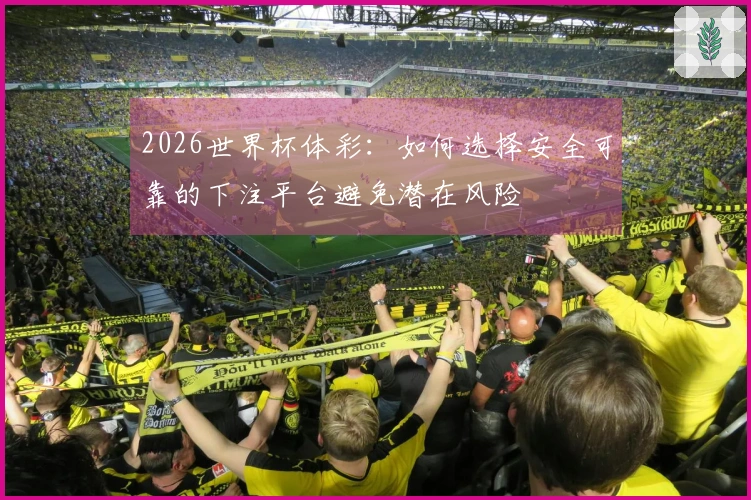 2026世界杯体彩：如何选择安全可靠的下注平台避免潜在风险