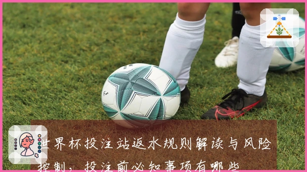 世界杯投注站返水规则解读与风险控制，投注前必知事项有哪些
