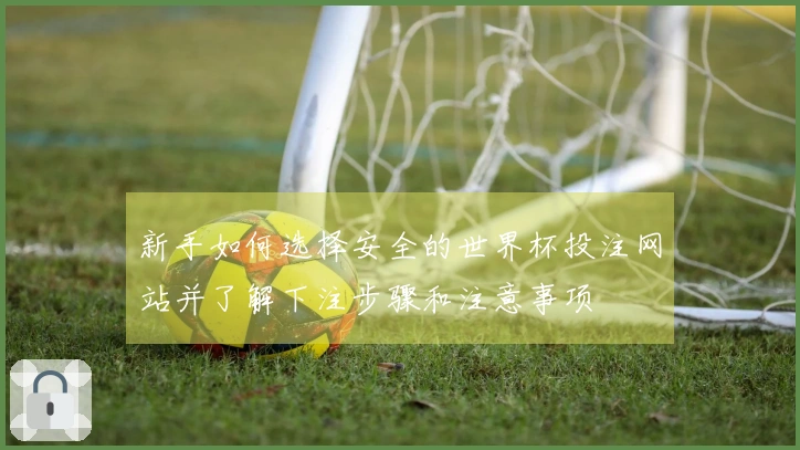 新手如何选择安全的世界杯投注网站并了解下注步骤和注意事项