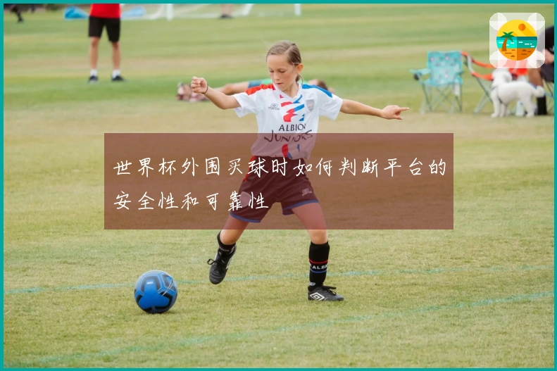 世界杯外围买球时如何判断平台的安全性和可靠性
