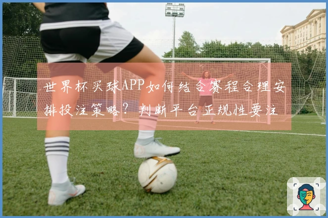 世界杯买球APP如何结合赛程合理安排投注策略？判断平台正规性要注意什么