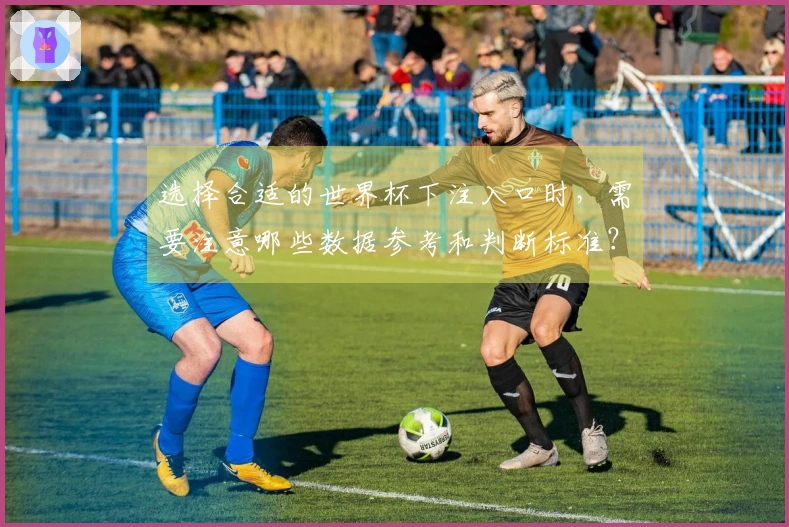 选择合适的世界杯下注入口时，需要注意哪些数据参考和判断标准？
