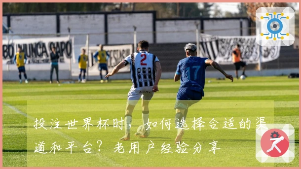 投注世界杯时，如何选择合适的渠道和平台？老用户经验分享