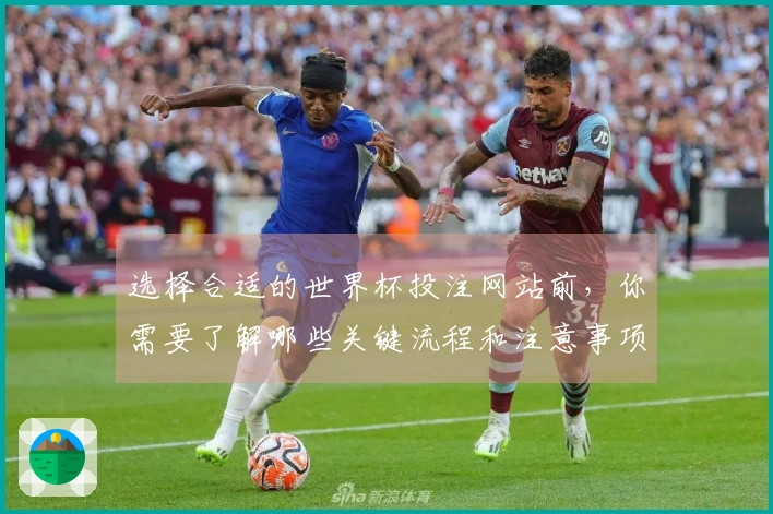 选择合适的世界杯投注网站前，你需要了解哪些关键流程和注意事项