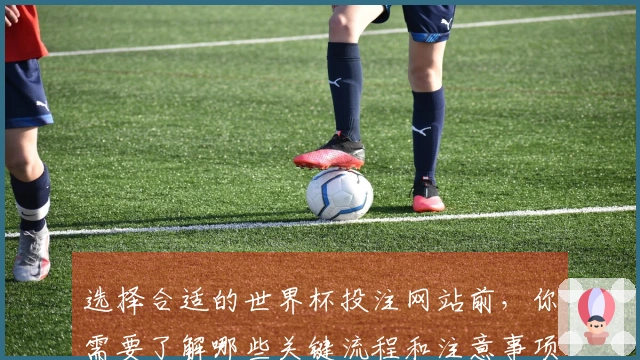 选择合适的世界杯投注网站前，你需要了解哪些关键流程和注意事项