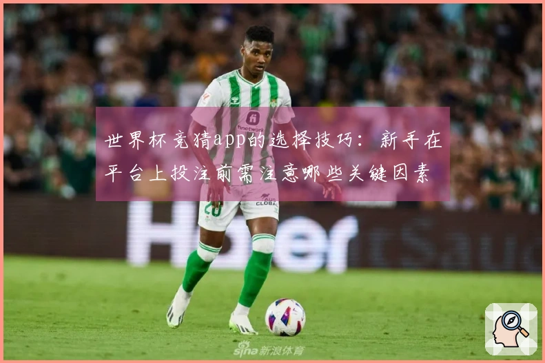 世界杯竞猜app的选择技巧：新手在平台上投注前需注意哪些关键因素