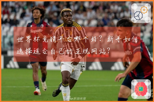 世界杯竞猜平台哪个好？新手如何选择适合自己的正规网站？