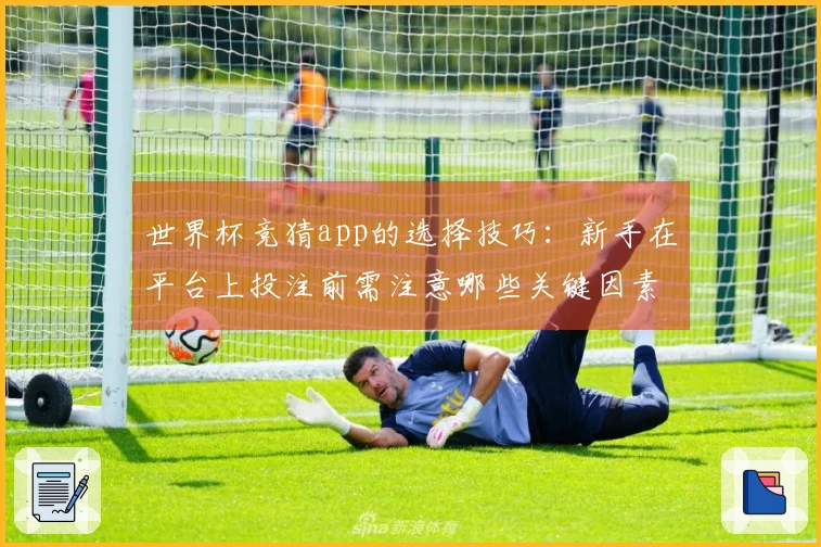 世界杯竞猜app的选择技巧：新手在平台上投注前需注意哪些关键因素