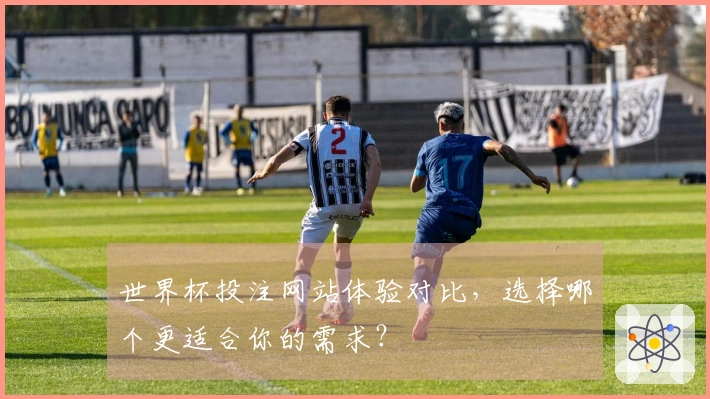 世界杯投注网站体验对比，选择哪个更适合你的需求？