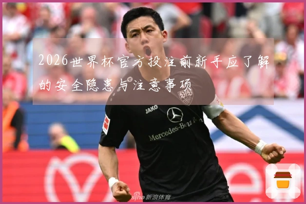 2026世界杯官方投注前新手应了解的安全隐患与注意事项