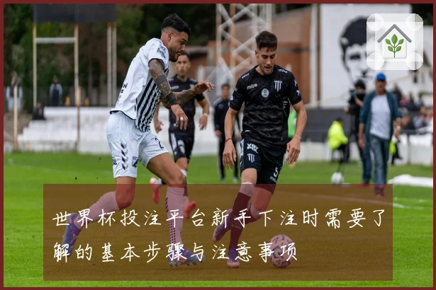 世界杯投注平台新手下注时需要了解的基本步骤与注意事项