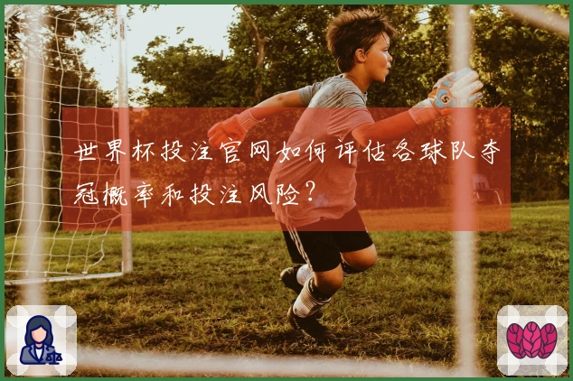 世界杯投注官网如何评估各球队夺冠概率和投注风险？