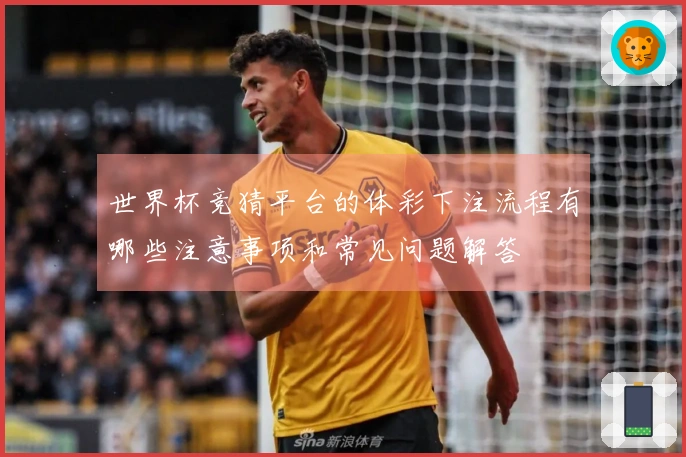 世界杯竞猜平台的体彩下注流程有哪些注意事项和常见问题解答