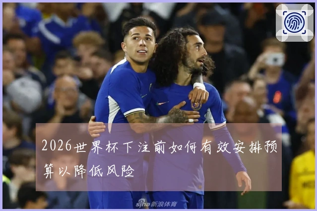 2026世界杯下注前如何有效安排预算以降低风险